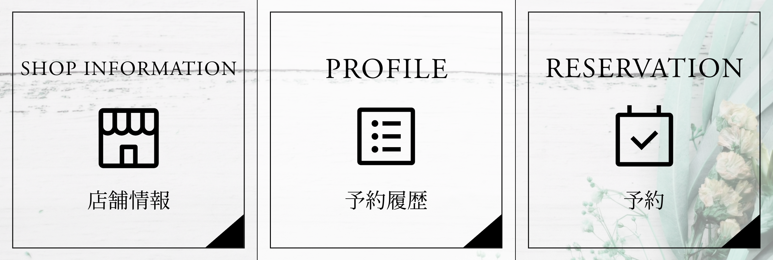 美容3-5