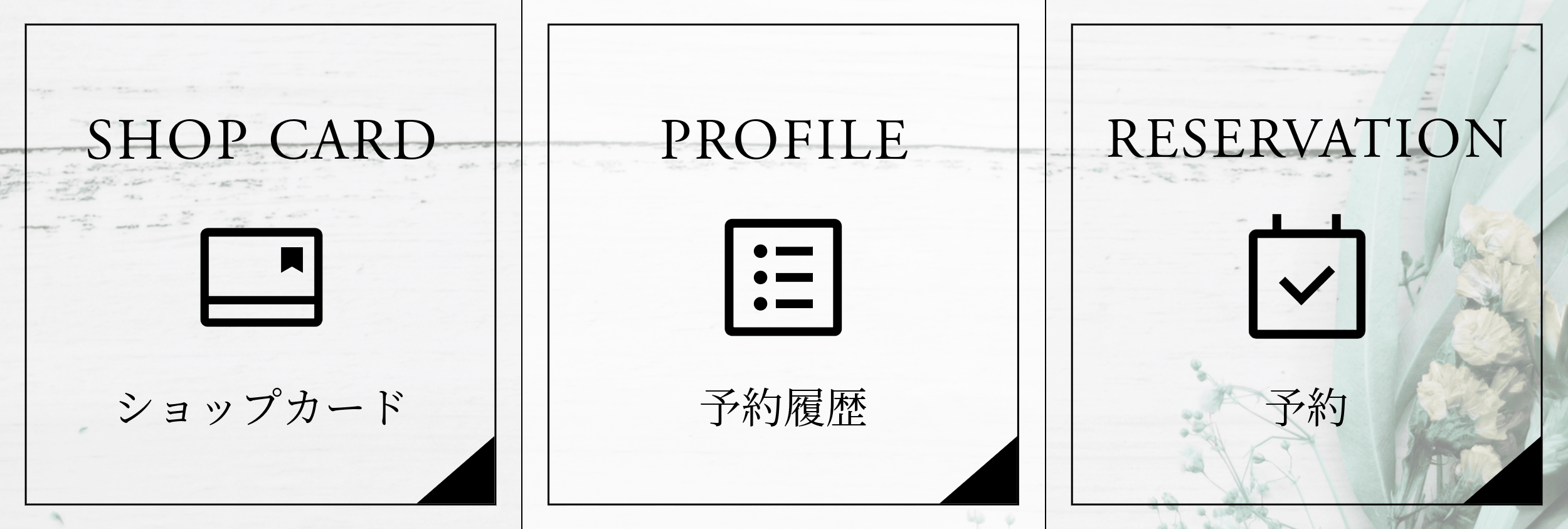 美容3-4