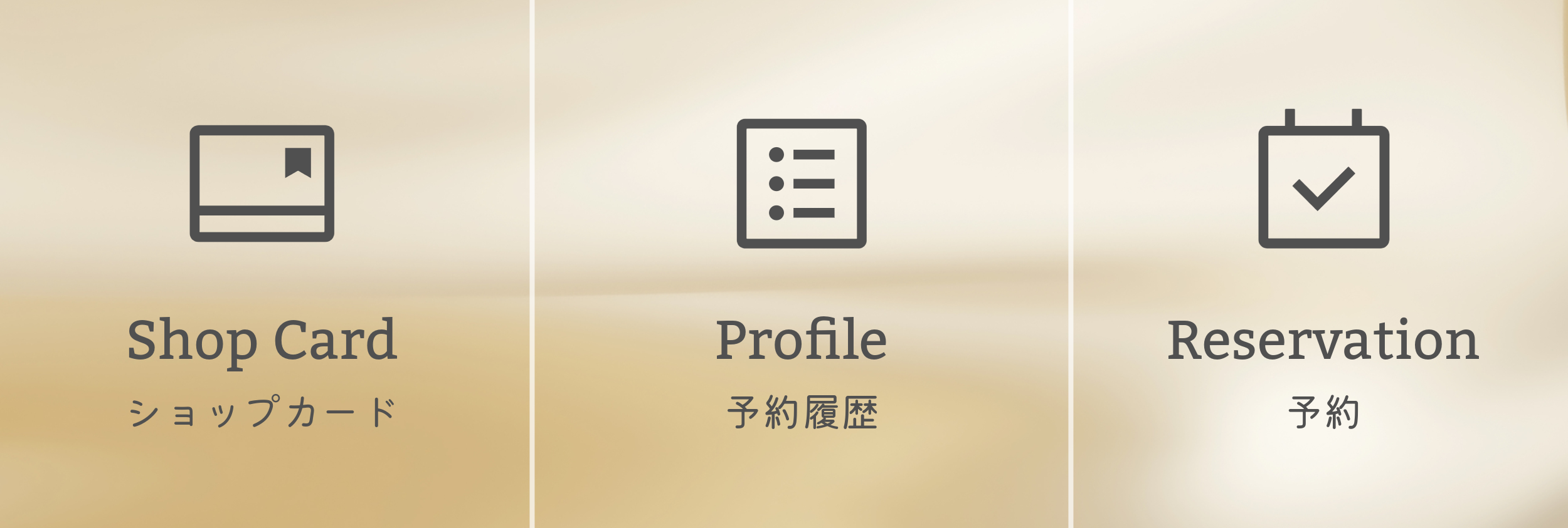 美容8-4