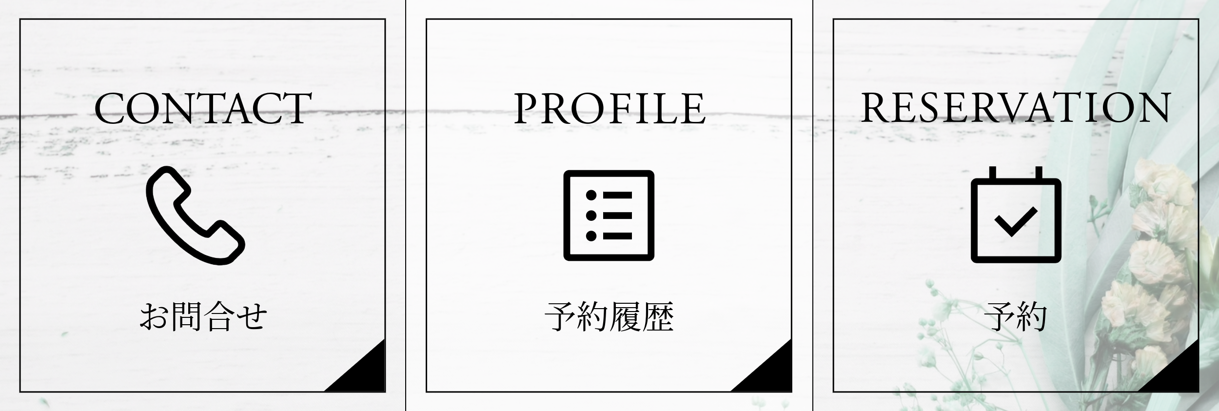 美容3-6