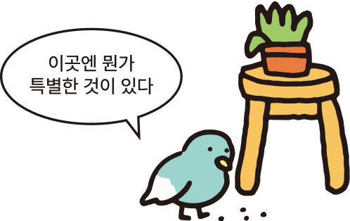 이곳엔 뭔가 특별한 것이 있다