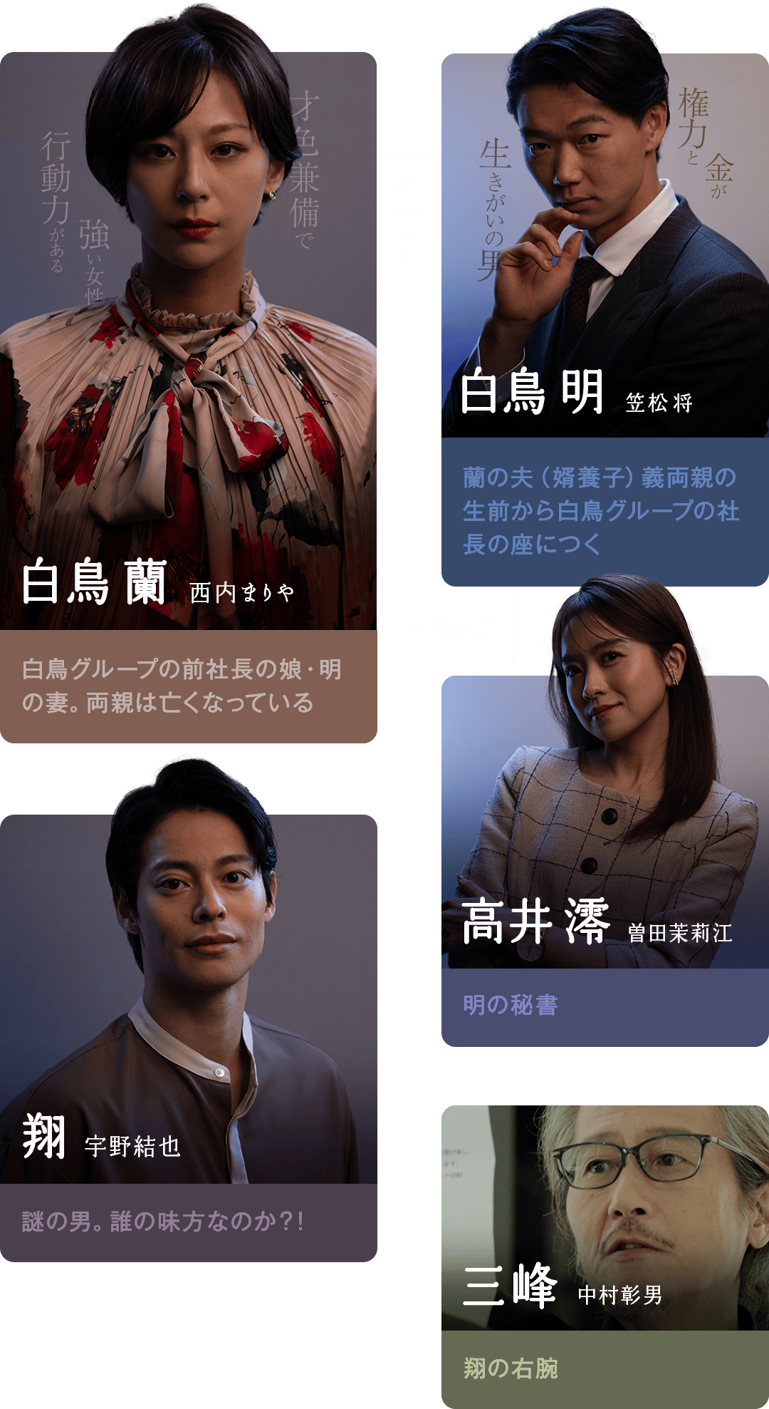 殺せなかった妻　相関図
