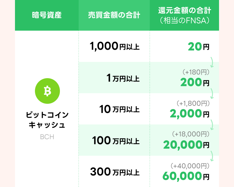 mission_bch