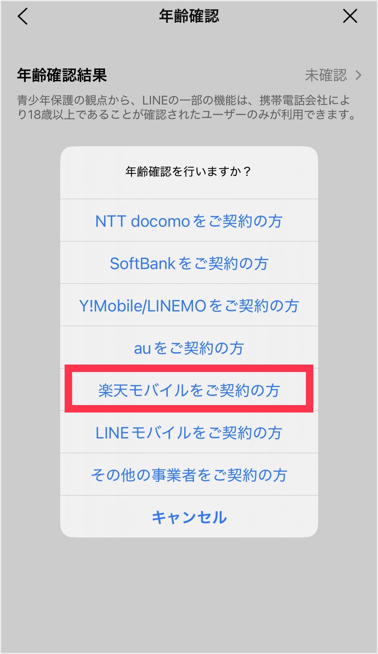 04age_rakuten.png
