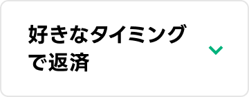 好きなタイミングで返済