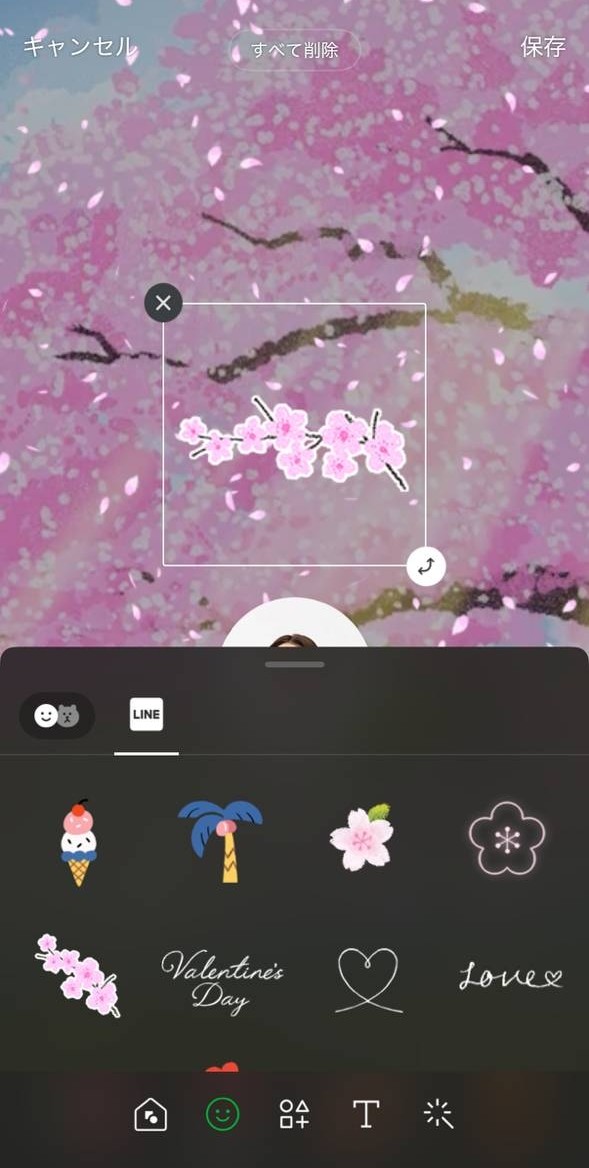 hanami2024_プロフ1.jpg