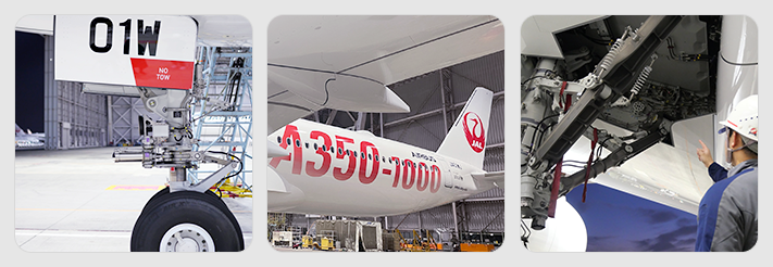 JAL A350-1000就航記念デジタルアイテム│DOSI