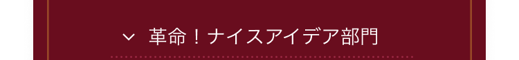 革命！ナイスアイデア部門