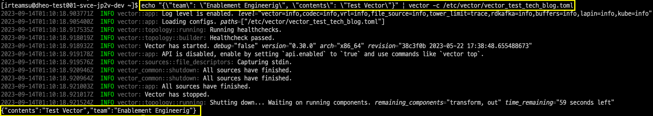 vector json transform result screenshot