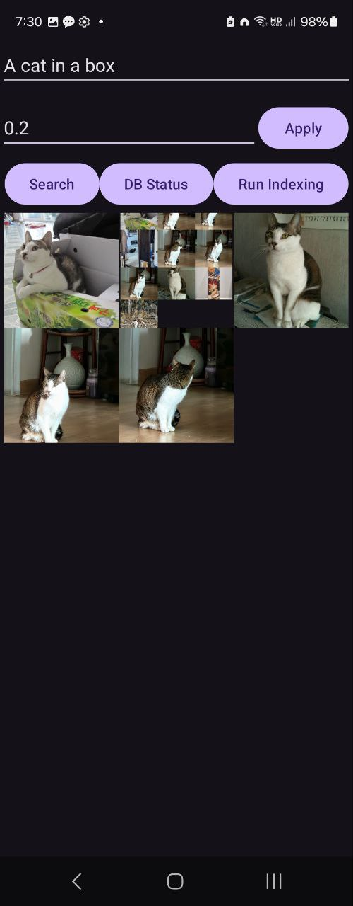 A cat in a box를 검색한 결과