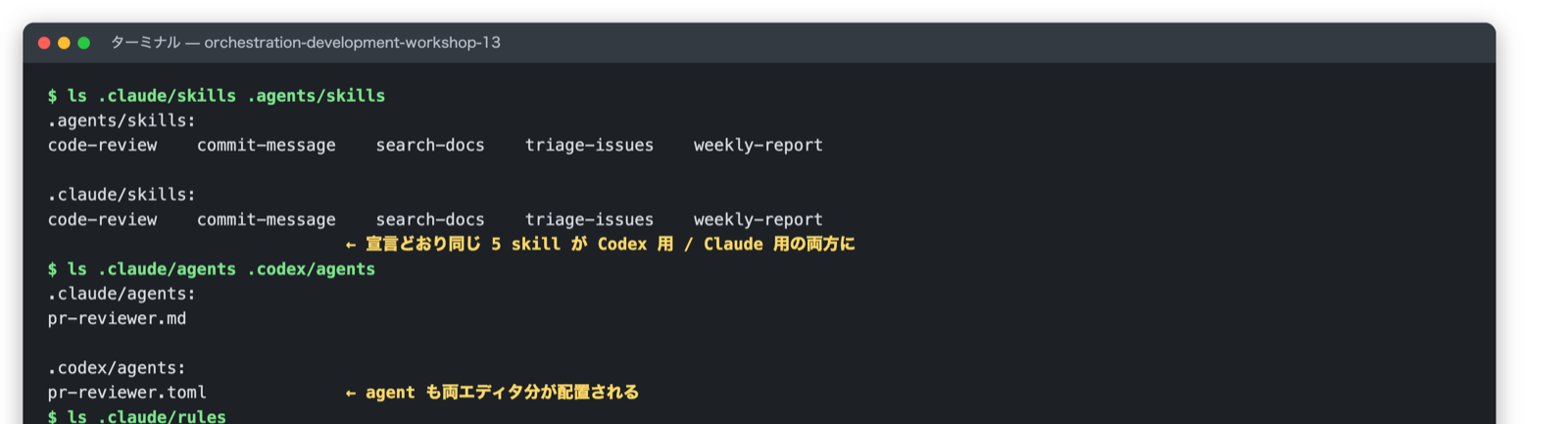 apm install後に各エディタへ配置されたSkillとagent