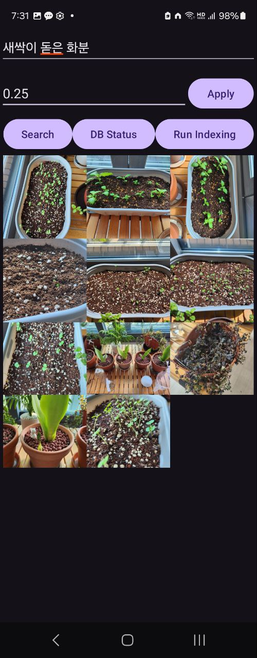 새싹이 돋은 화분 검색 결과