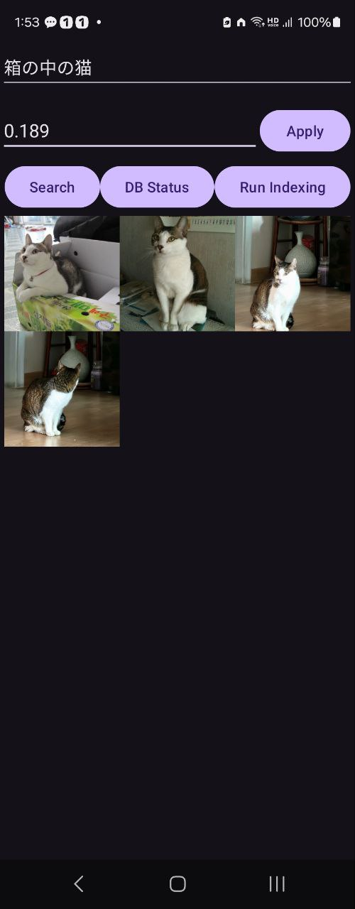 박스 안에 고양이 검색 결과