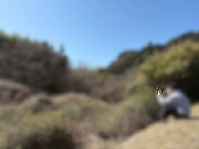 山中でスマホを持つ人の写真