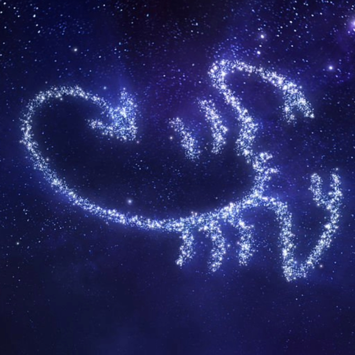 天蠍座 ♏ 外冷內熱超神祕