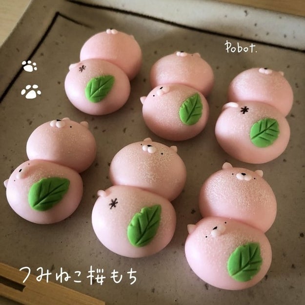 ぜんぶ手作り！！柴犬×和スイーツがかわいすぎて永遠に見ていたい