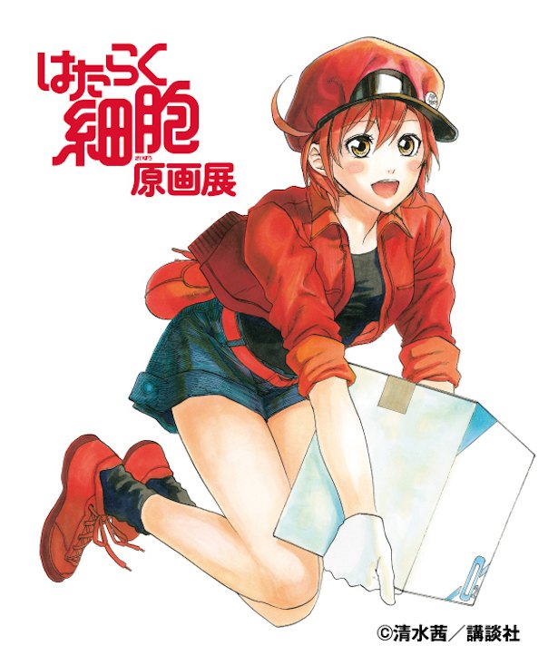 人気漫画『はたらく細胞』原画展が大阪初開催！声優による音声ガイドも