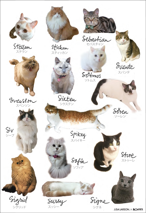 猫の名前 カード検索 ｜ Z/X - Zillions of enemy X - ゼクス公式サイト