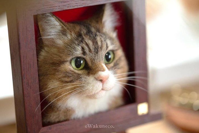 瞳にキュン♡ とってもリアルな「わくねこ」羊毛フェルトの世界（ね
