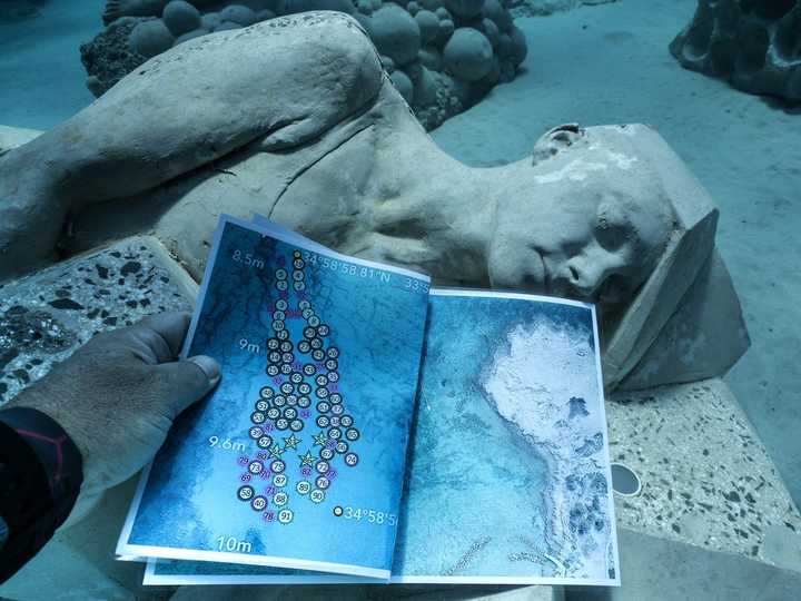 地中海・キプロス沖に海底彫刻美術館がオープン（BUSINESS INSIDER JAPAN）