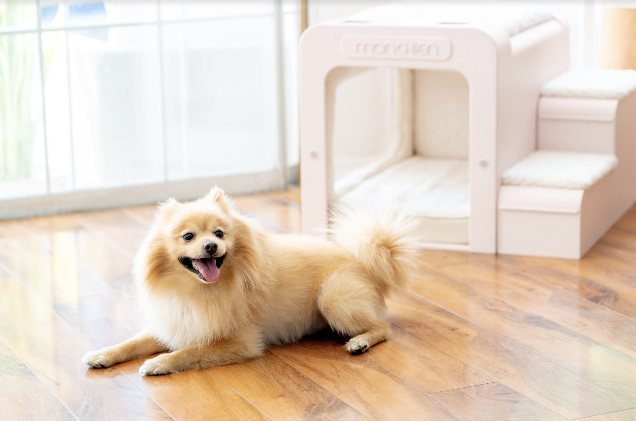 あなたの犬も今日から城主！犬小屋 【公式通販】