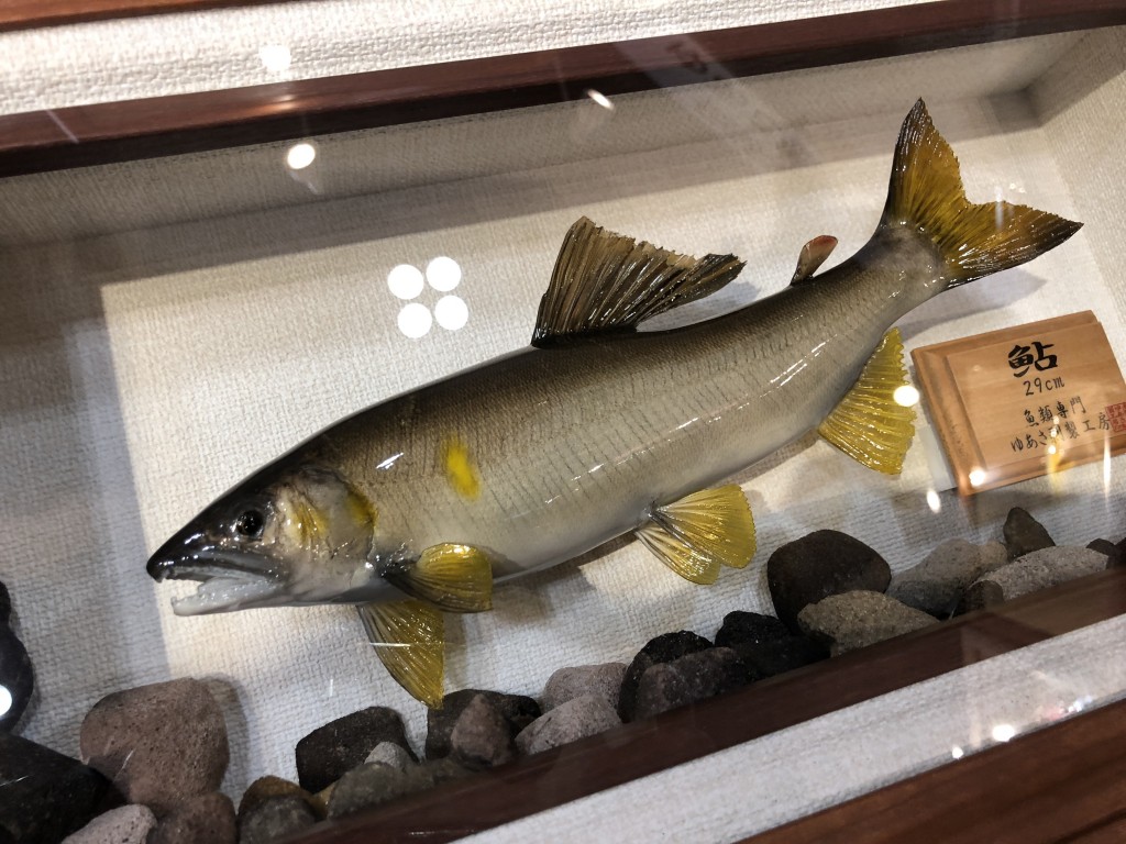 魚の剥製ってどうやって実現するの？プロに直接聞いてみた（ルアー