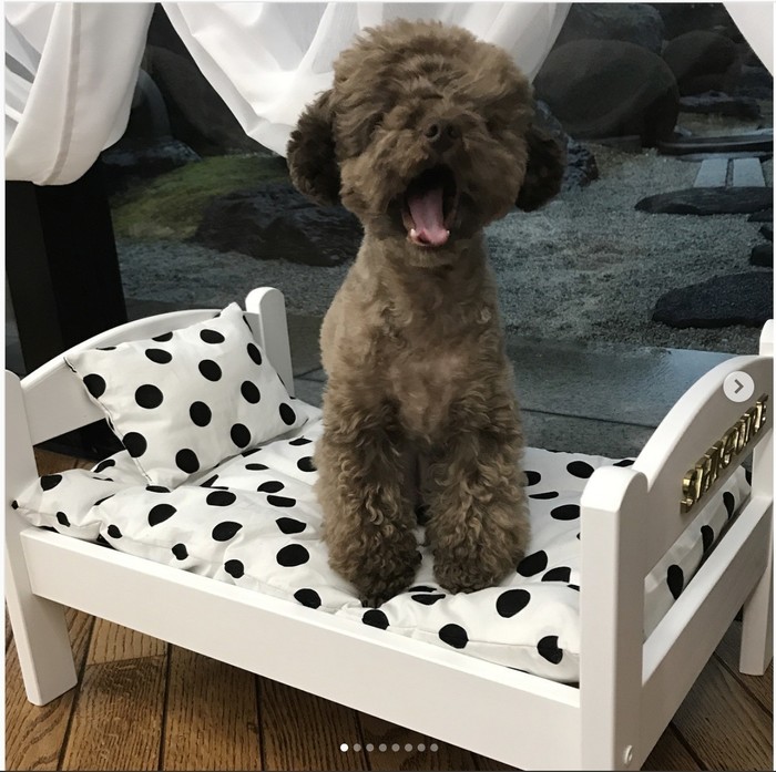 IKEA　犬 IKEA 犬 ぬいぐるみ - メルカリ
