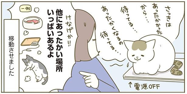 他にも温かいところはいっぱいあるのになぜそこを選ぶ…！／うちの猫が