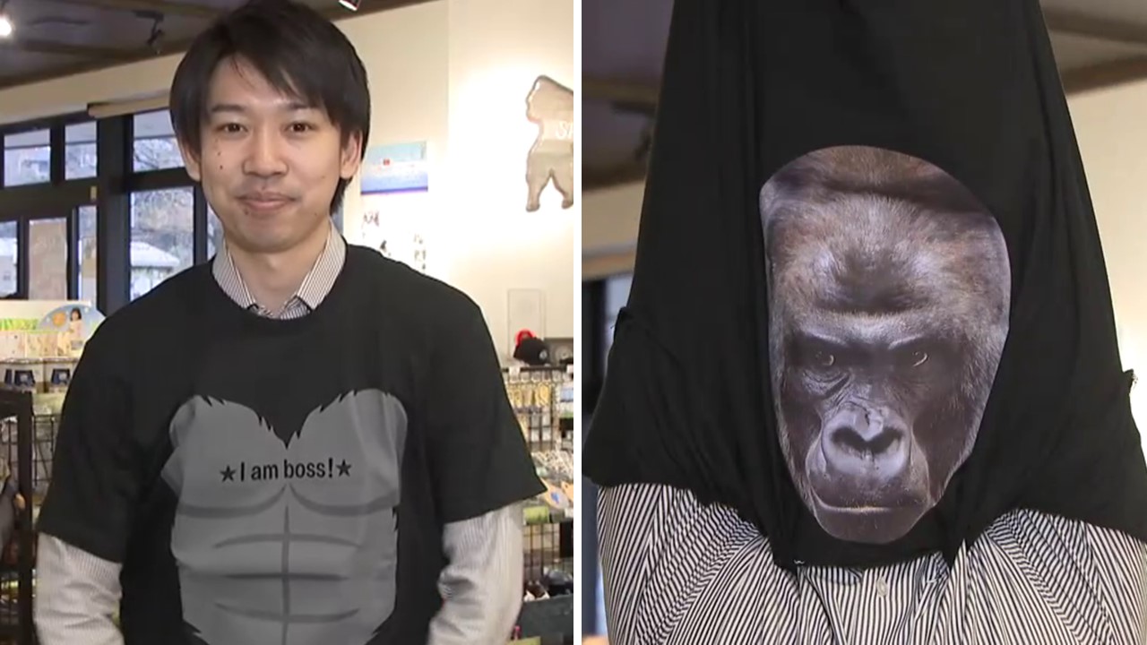 冬なのに動物園のTシャツ販売が好調、理由はイケメンゴリラ