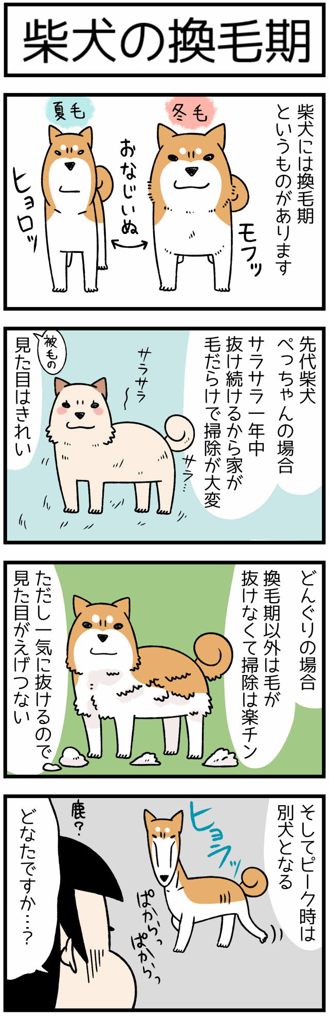 換毛 期 と は