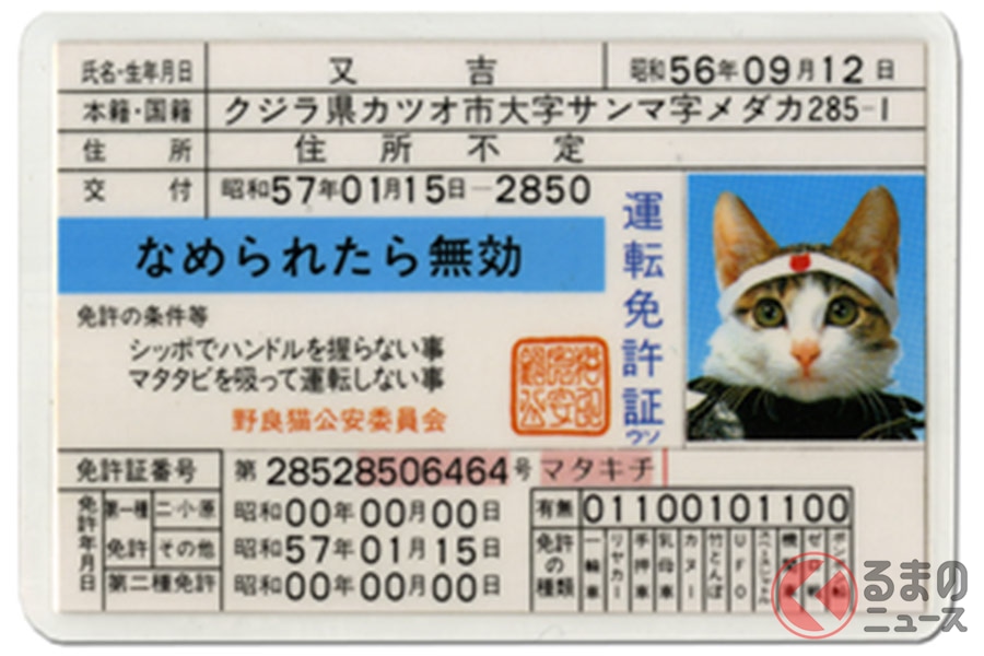 皆持っていた「なめ猫免許」 現在も密かなブームだった