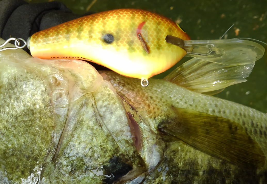 マグナムクランク特集！ビッグサイズで水押し効果が期待できるおすすめ