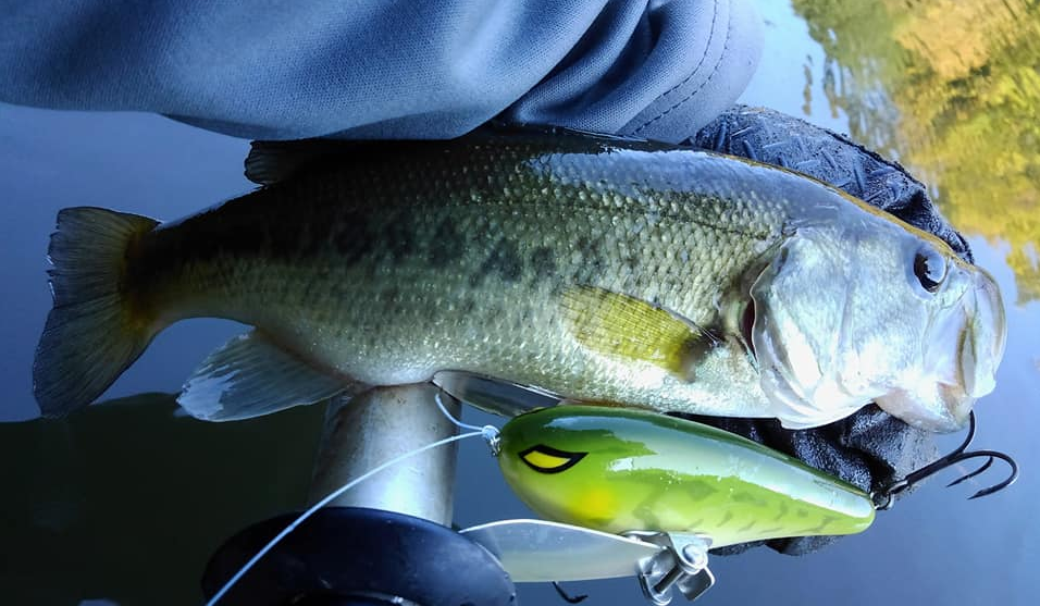 「フラッシュユニオン」ドラウンドクローラー ドラウンドクローラーでビッグバスを釣りたい！フラッシュユニオンの