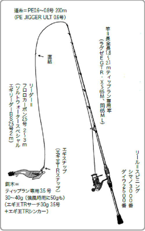 秋の餌木あそび】ティップランエギング（FISHING JAPAN）