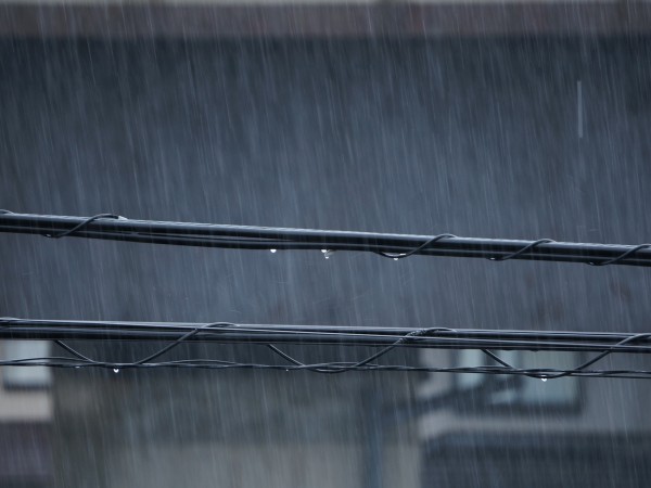 雨の名前は何種類ある？ 五月雨の意味は？（HALMEK up）