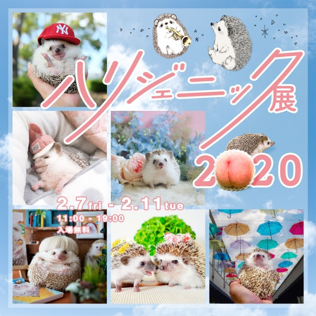 ハリネズミを愛するクリエイターが集結！史上最大のハリネズミフェス