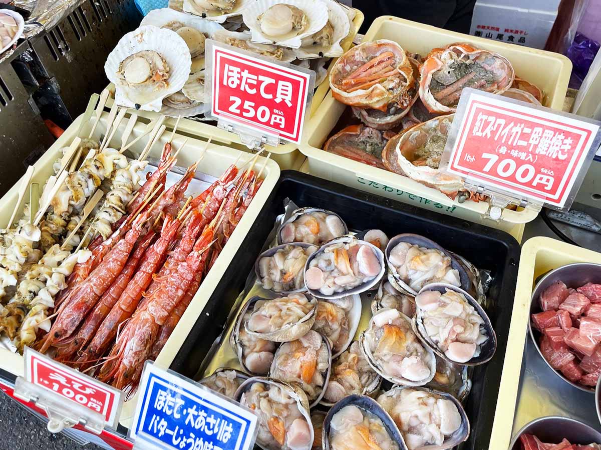 新潟 角 上 魚類