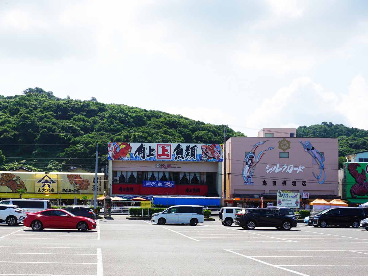 新潟 角 上 魚類