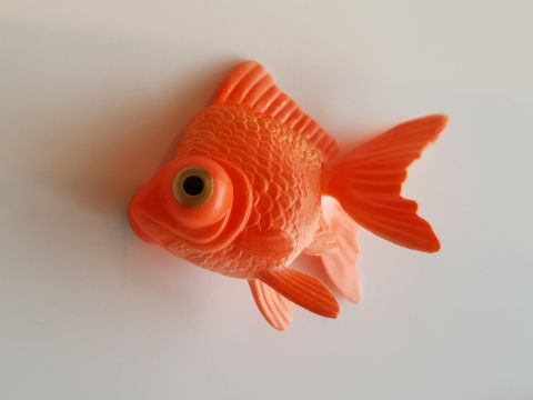 灼熱の夏がちょっと涼しくなる……気がする「カラクリ金魚」を衝動買い