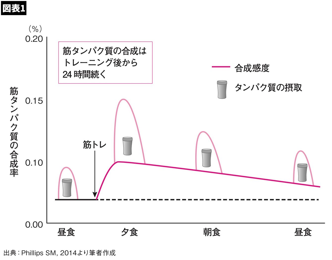 タンパク質 筋 トレ 後