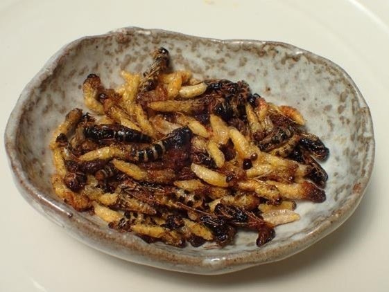 ビギナーにはイナゴと蜂の子 「4大昆虫食」の魅力って？（Jタウンネット）