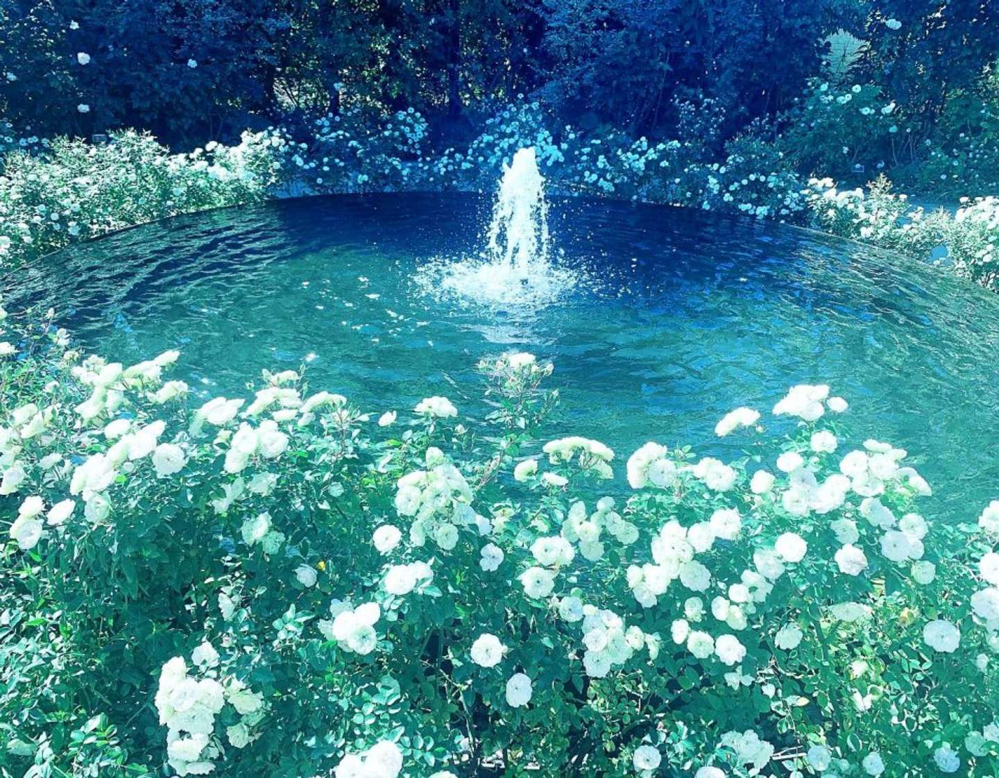 油絵　噴水のある風景 m75261113882_1.jpg?1755020750