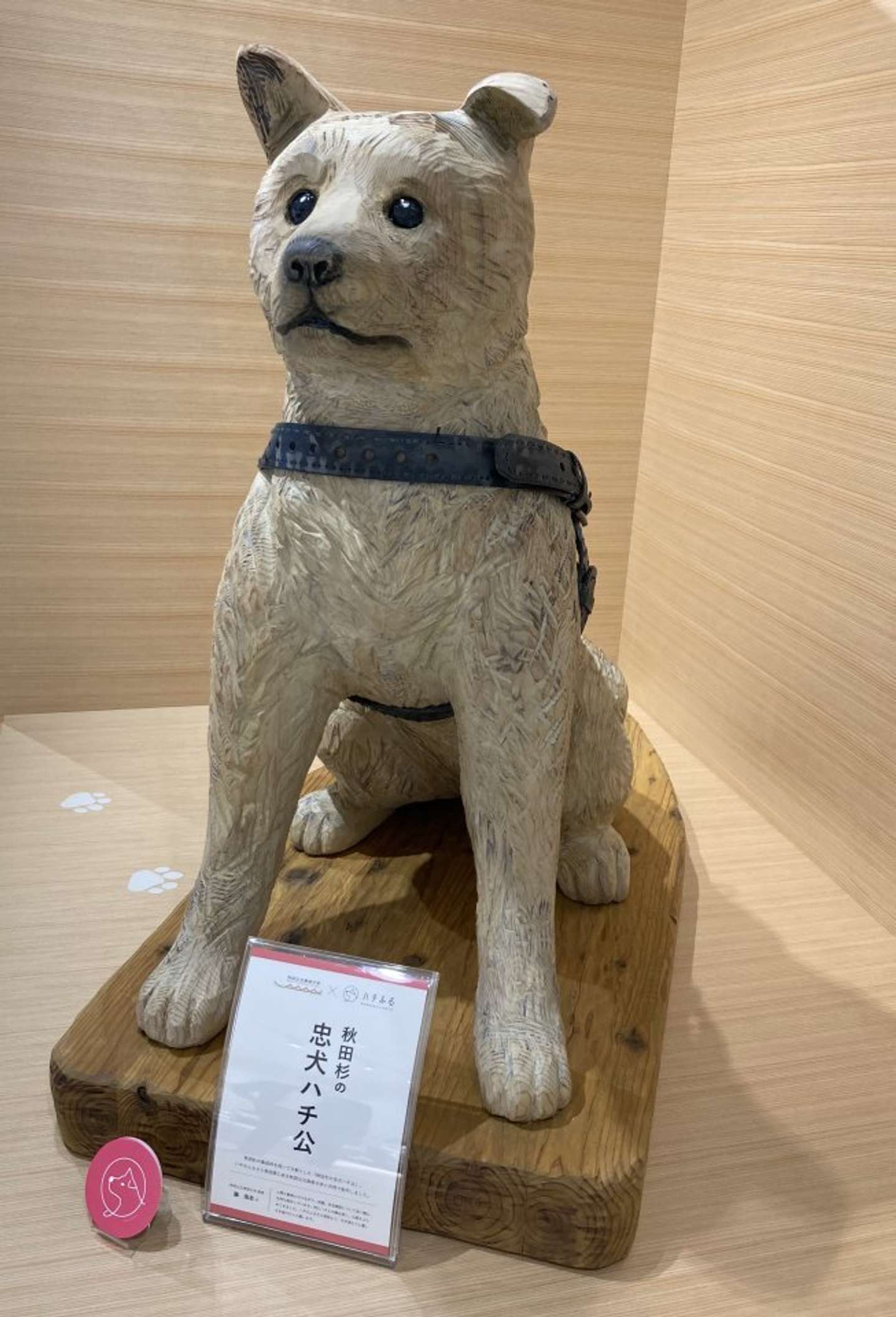 渋谷店限定！ハチ公生誕100周年記念シリーズ | AYANOKOJI