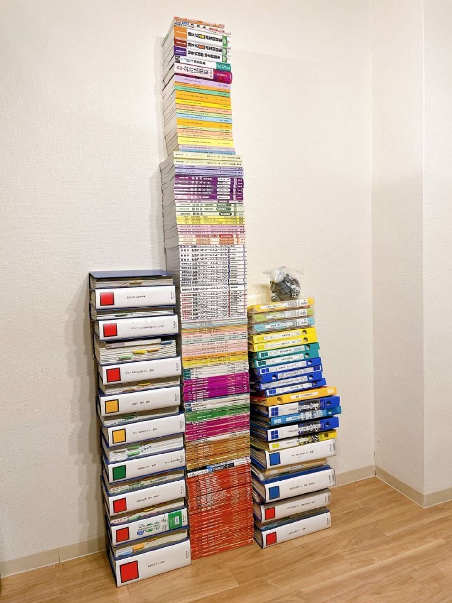 まさに「努力の結晶」だ 公認会計士志望者が建立した、天井スレスレの