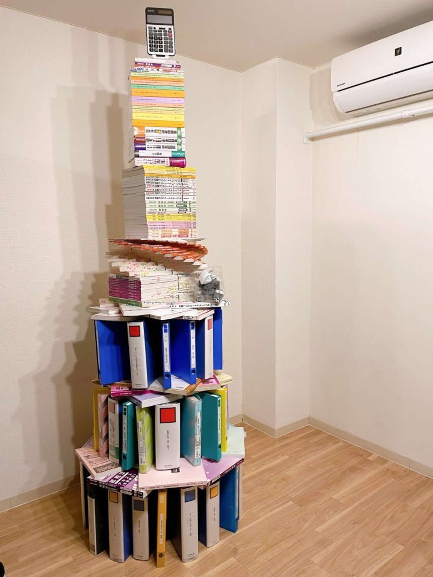 まさに「努力の結晶」だ 公認会計士志望者が建立した、天井スレスレの