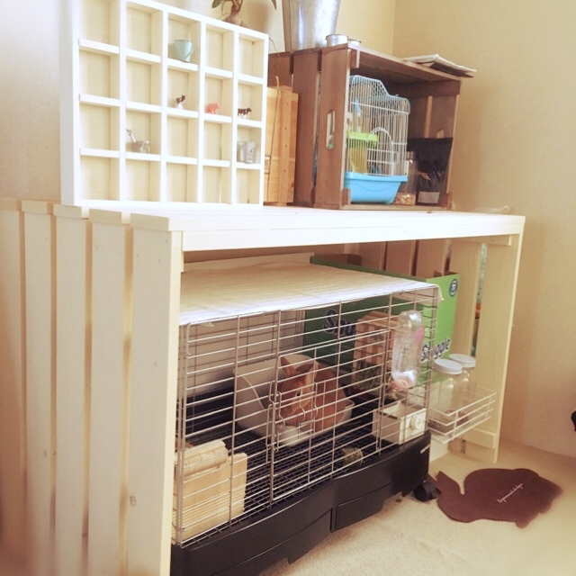 ペットと暮らす】ケージのDIY術やトイレの隠し方実例（RoomClip mag）