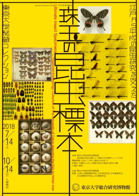 江戸時代の最古の標本を含む5万点もの昆虫標本が集結！（Japaaan）
