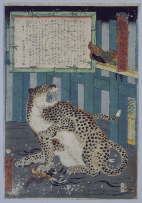 ちょっと不気味で面白そう！特別展「見世物大博覧会」開催（Japaaan）