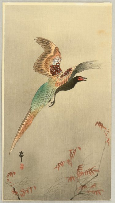美麗!高評価で作品の多くが海外に、明治の絵師・小原古邨 美麗!高評価で作品の多くが海外に、明治の絵師・小原古邨