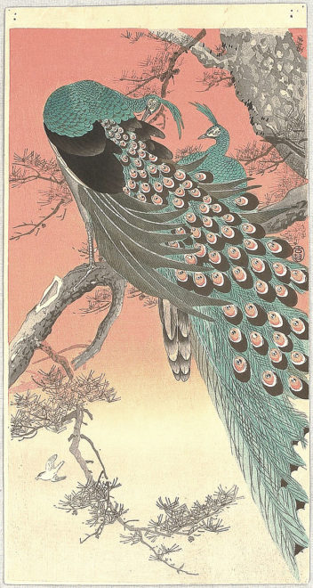 小原古邨「桜に孔雀」本物木版画 小原古邨 - 孔雀と桜